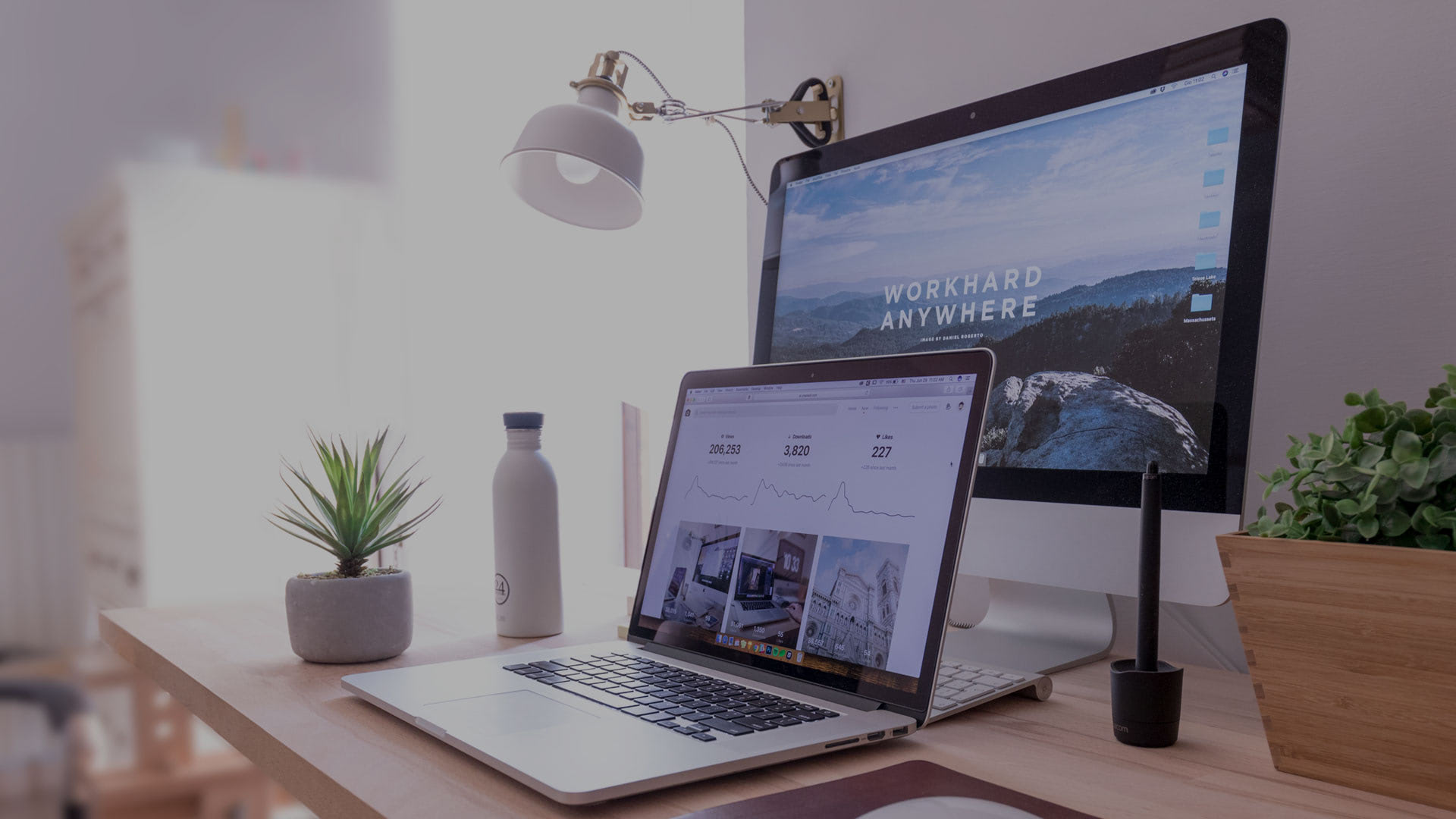 business development services